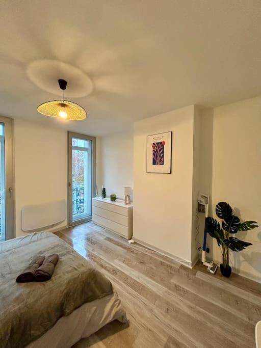 Ferienwohnung Le Douillet, Proche Gare Et Metro Toulouse Exterior foto